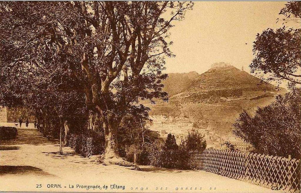 PL a- 107- Promenade de Letang A.jpg